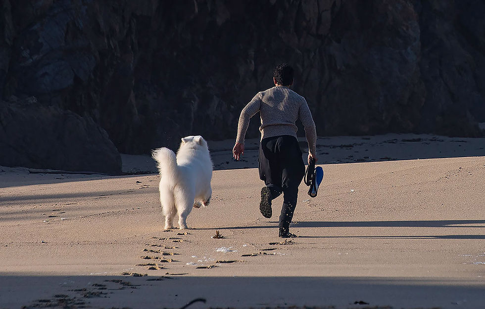 white dog and young man running on beach, Tracks by the Post 2026 no.8 beach combing, www.egrettracks.com, www.fbphoto.com