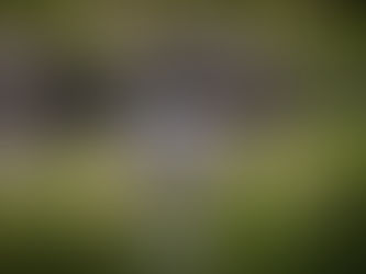 21: embrace the stillness