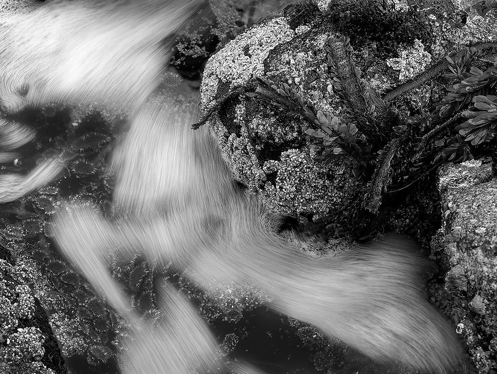 rush of ocean water abstract, black and white photography by Frank Bevans, Tracks by the Post 2026 no. 10 black and white, www.egrettracks.com, www.fbphoto.com