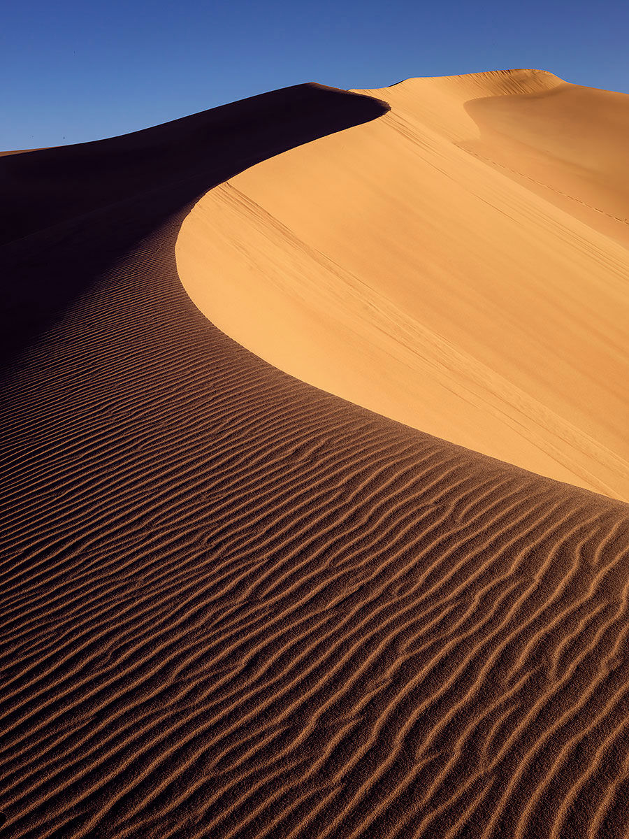 Mesquite Flat Dune, Tracks by the Post 2026 no.5 desert dunes, www.egrettracks.com, www.fbphoto.com