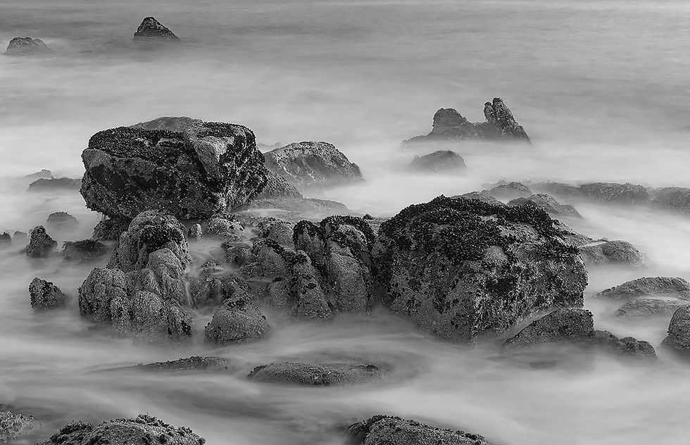 dreamy coastline tide, black and white photography by Frank Bevans, Tracks by the Post 2026 no. 10 black and white, www.egrettracks.com, www.fbphoto.com