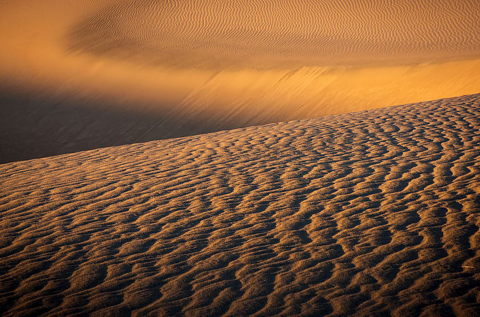 Mesquite Flat Sand Dunes, Tracks by the Post 2026 no.5 desert dunes, www.egrettracks.com, www.fbphoto.com