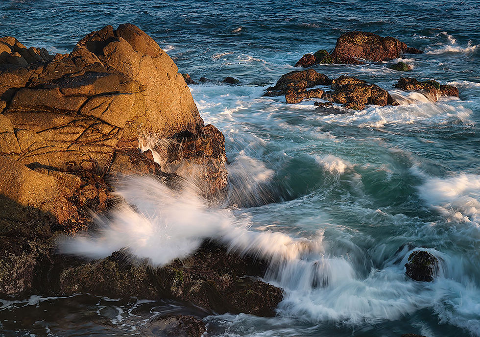 Surf and rocks Pacific Grove CA, Tracks by the Post 2026 no.11 Sea Otter, www.egrettracks.com, www.fbphoto.com, Leslie and Frank Bevans