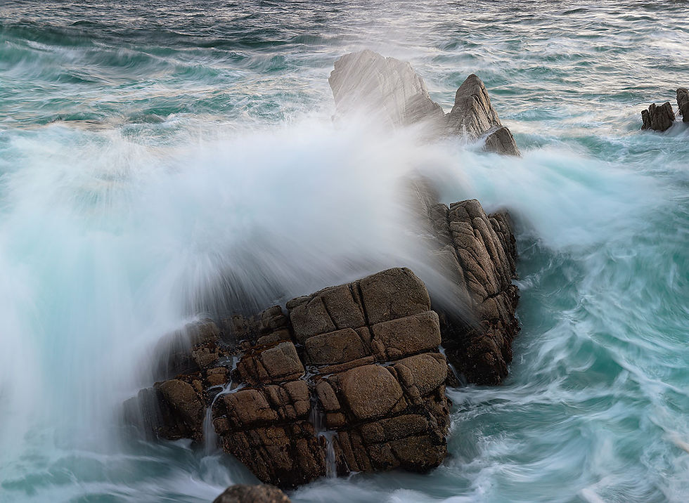 Pacific Grove CA surf, Tracks by the Post 2026 no.11 Sea Otter, www.egrettracks.com, www.fbphoto.com, Leslie and Frank Bevans