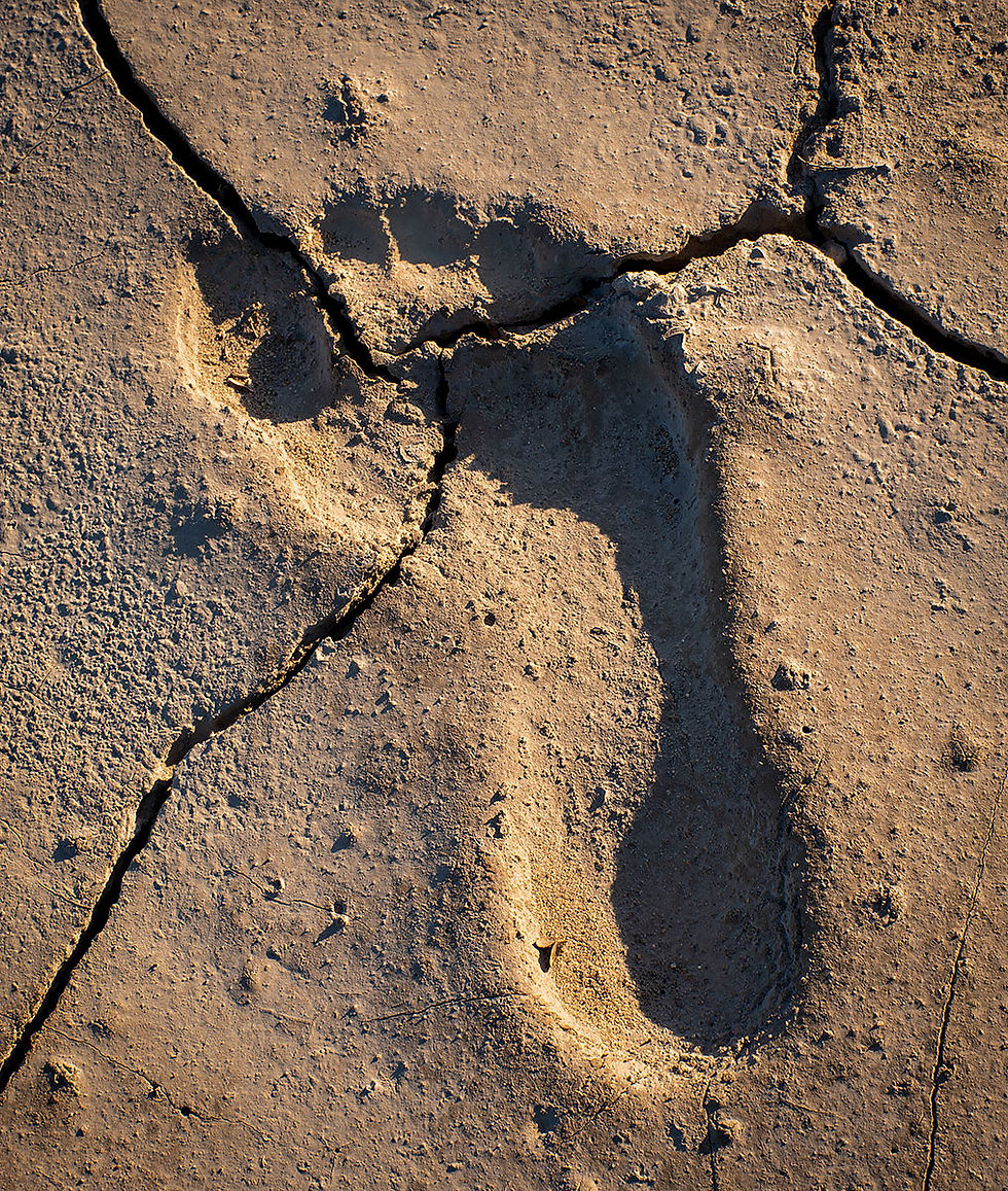 human footprint in dried mud, Tracks by the Post 2026 no.5 desert dunes, www.egrettracks.com, www.fbphoto.com