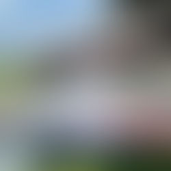 Exterior detail on this Mooney M20M TLS Bravo at KHFD Hartford.