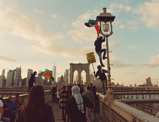 New York, Drain, Street, Buildings, Busy, Winter, Sunshine, Sunny, Street, Photo, March, Palestine