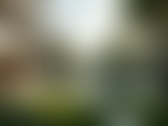 Soluciones sostenibles en construcción y mantenimiento