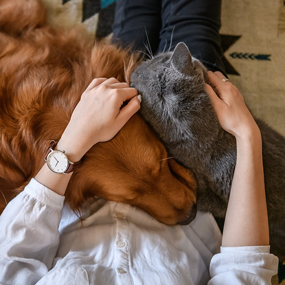 AdobeStock_188773191.jpeg