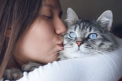 AdobeStock_256256198.jpeg