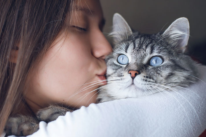 AdobeStock_256256198.jpeg