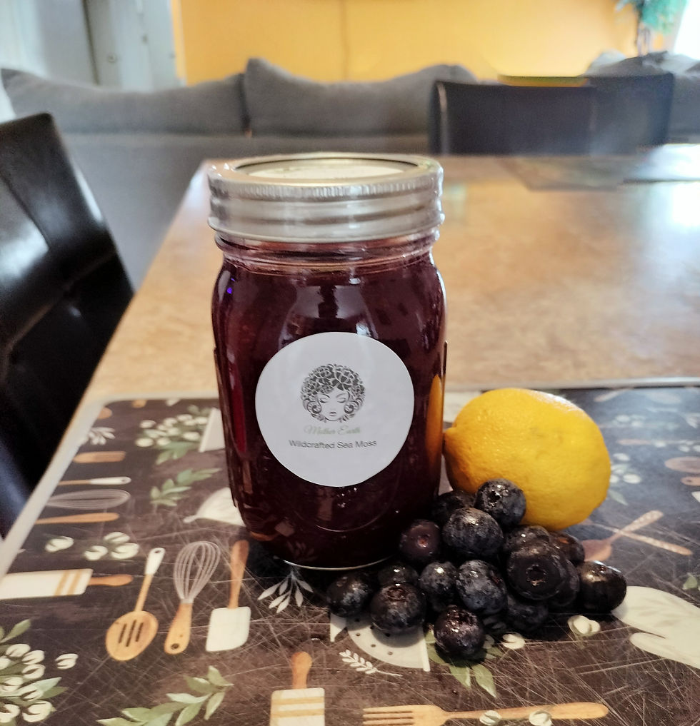 Blueberry Lemon Sea Moss Gel Mother Earth