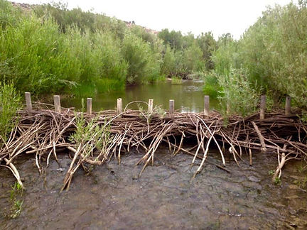 beaver-dam.jpg