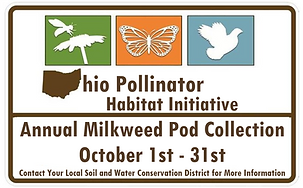 NEW Common Milkweed Seed Pod Collection Fact Sheet.png