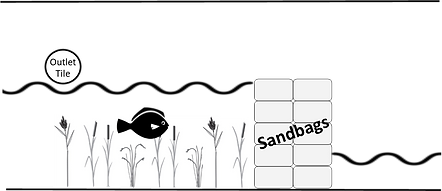 Beaver in a Bag Diagram.png
