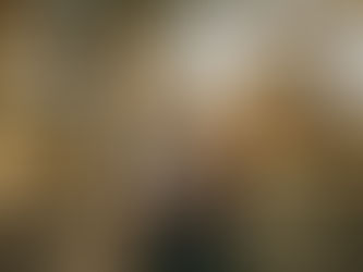 Golden hues and soft light: beauty of winter sessions in Houston