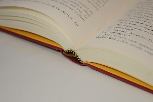 Open Book_edited.jpg