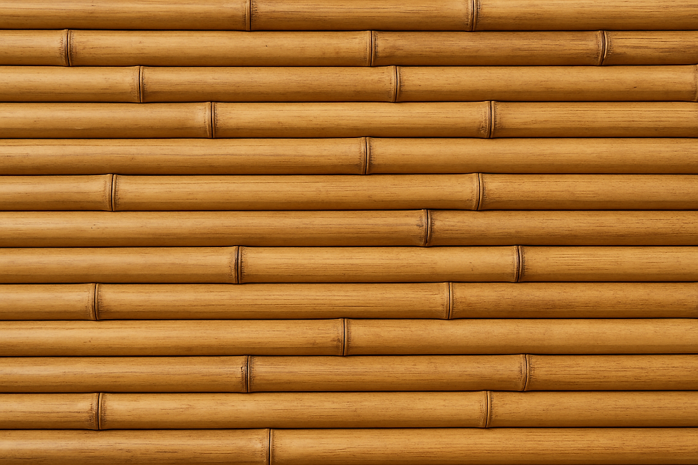 2C1828C8-A18F-4B9E-8421-1D4A252E1566.png