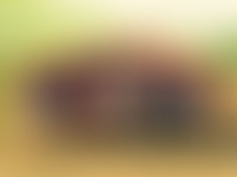 軽井沢キャンプ通学2021