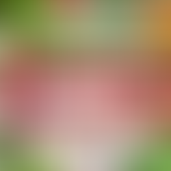 รู้หรือไม่? ผักไทยบางชนิดเก็บความสดได้นานกว่าที่คิด | Thai Food Supplier UK