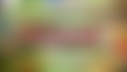 บรรจุภัณฑ์ที่ยั่งยืนสำหรับผักไทยสด: ทางเลือกลดขยะที่ยุโรปต้องการ | Import Thai Groceries UK/EU