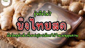 รู้หรือไม่? “ขิงไทยสด” คือวัตถุดิบลับที่เชฟยุโรปเลือกใช้ในเมนูสุขภาพ  | Import Thai Groceries UK/EU
