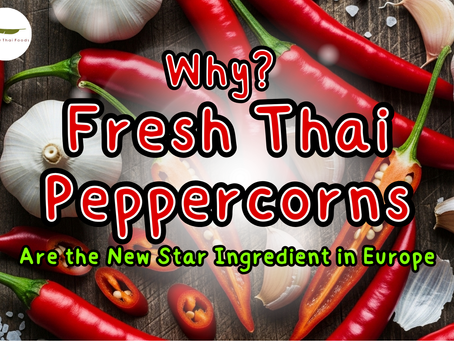 Why Fresh Thai Peppercorns Are the New Star Ingredient in Europe | Thai Food Distributor UK/EU