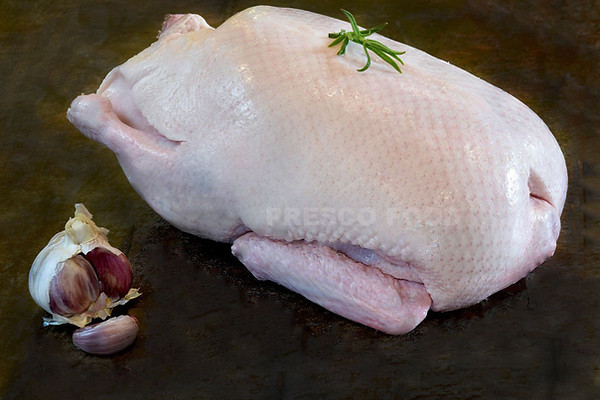 เป็ดเชอรี่