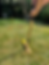 Thumbnail: Croquet set garden game