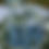 Thumbnail: Mirror bases