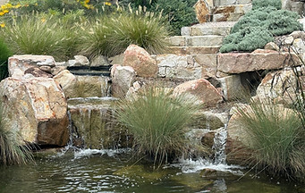Eco Ponds