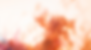 Untitled design (1).png