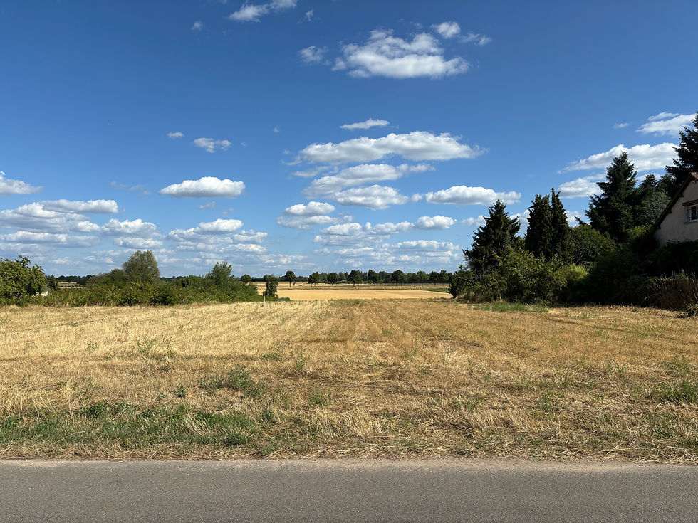 Terrain à bâtir Cléry