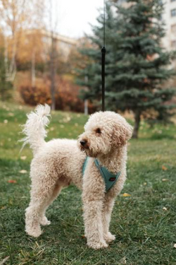 Screenshot 2026-04-11 132009