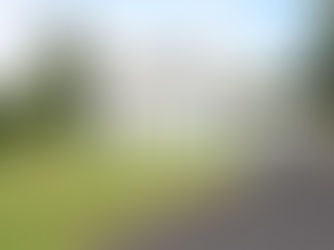 BALLYROE UPPER, KILFINANE, CO. LIMERICK. V35W248