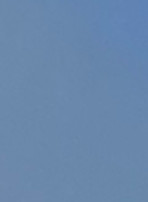 IMG_1469.jpeg