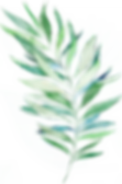 Palm tree