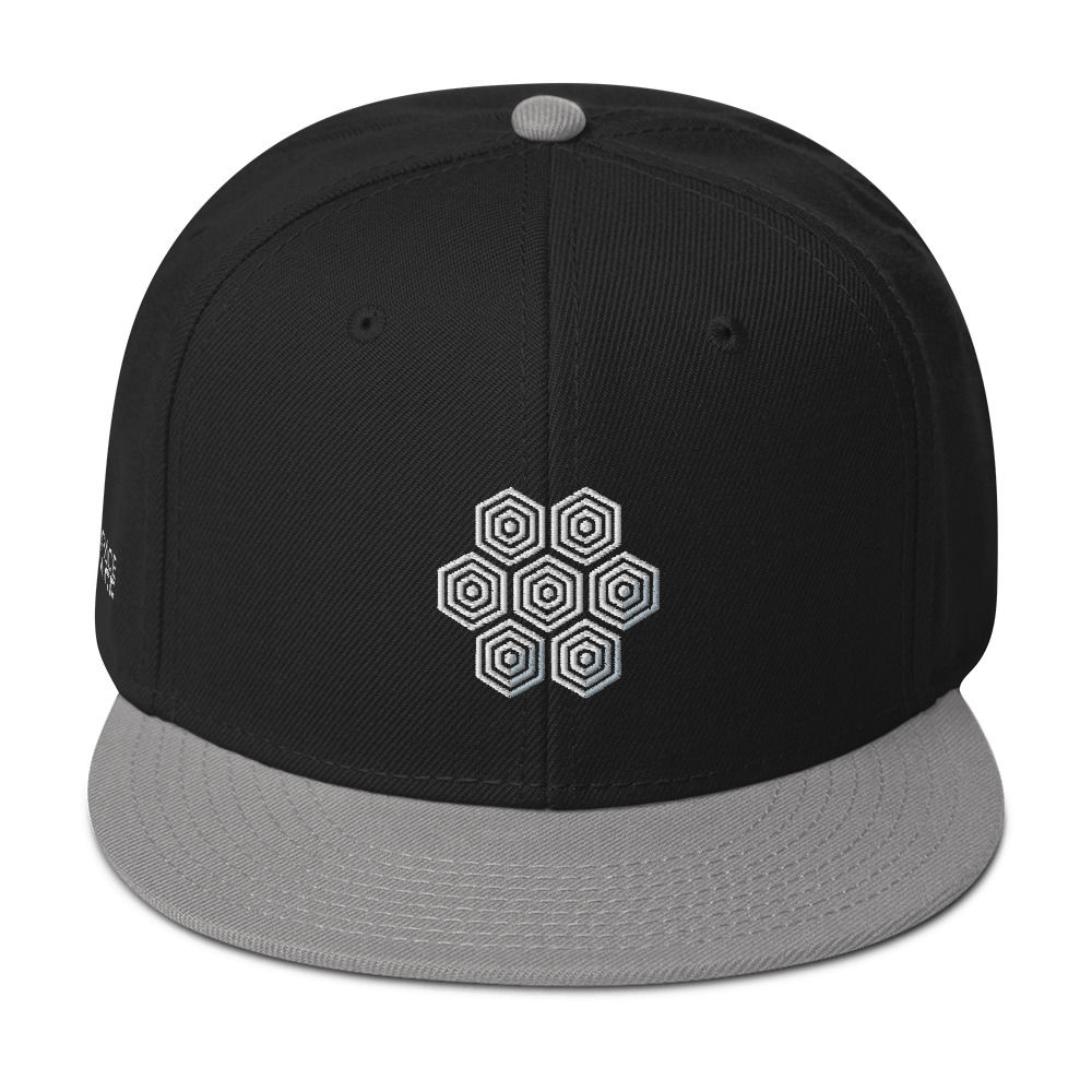 Hex Logo - Snapback Hat