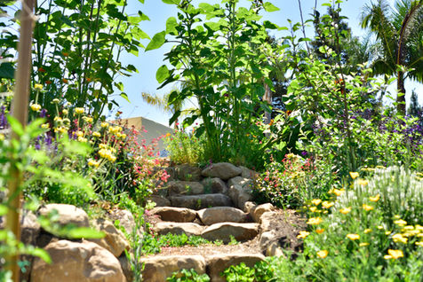 Summer_00001_13.jpg