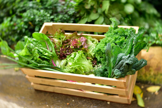A wood box filled with garden produce.