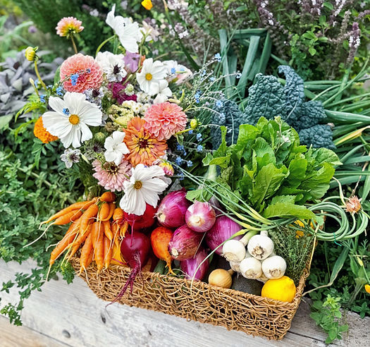 Hope Ranch Harvest Basket_edited.jpg