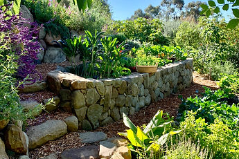 Edible landscape