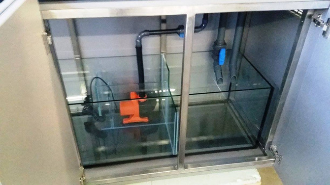 Meerwasserkombi in Metalloptik