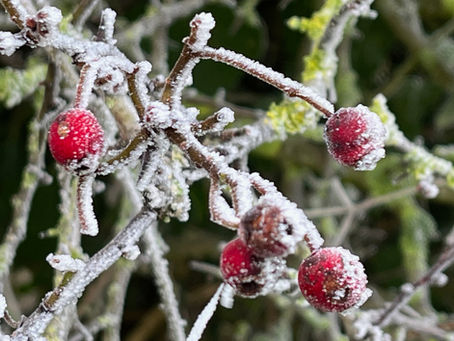 When Winter arrived early