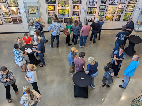 Through the Lens: My First Solo Exhibition