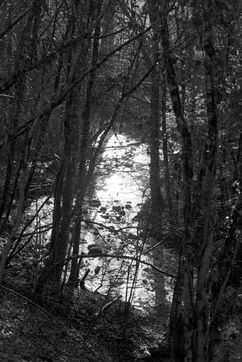 DSCF8359-Modifier.jpg