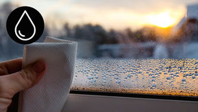 A Comprehensive Guide to Tackling Damp in Your Home