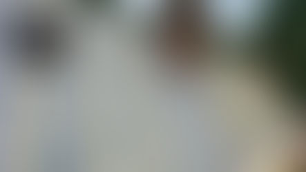 Elevate Your Home’s Comfort with Loft and Roof Insulation