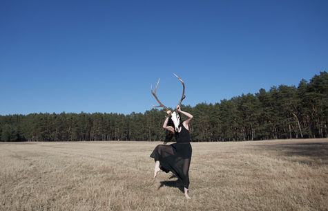 Deerdance2.jpeg