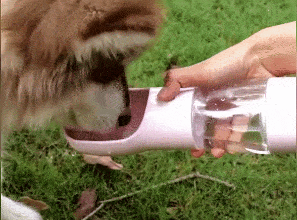 ezgif.com-gif-maker (3).gif